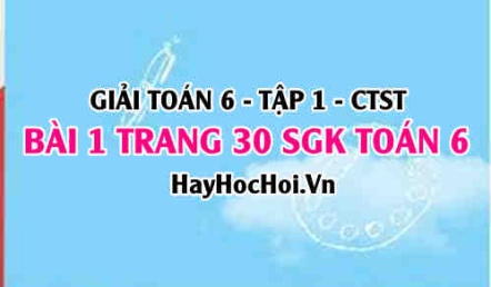 Giải bài 1 trang 30 Toán 6 Tập 1 SGK Chân trời sáng tạo